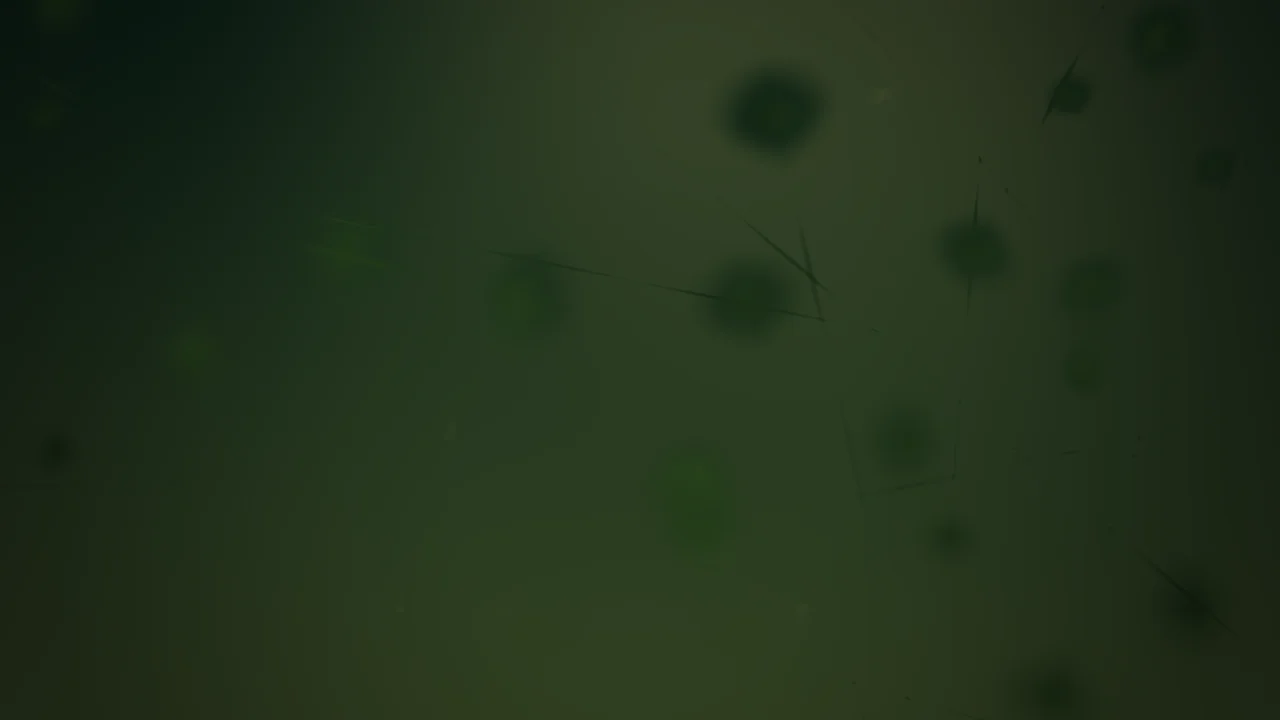 Canopy