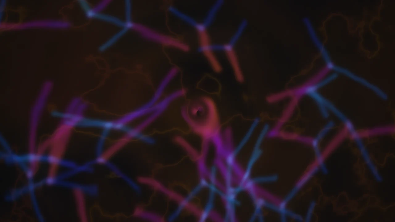 Synaptic Bloom